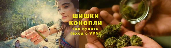 прущие крисы Вяземский