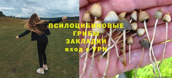 mix Горняк