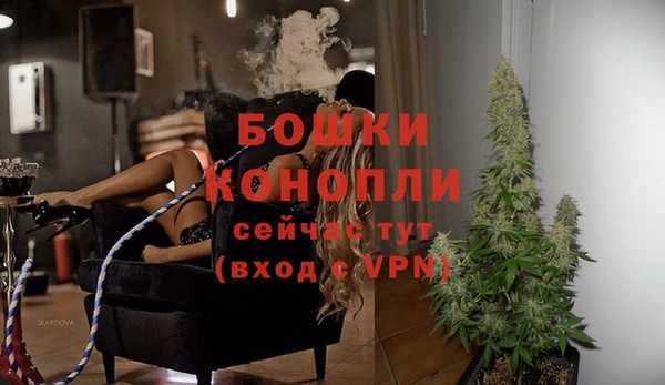 прущие крисы Вяземский