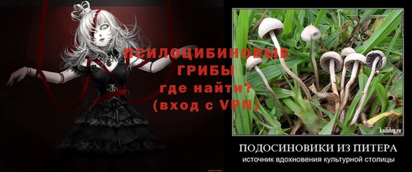 прущие крисы Вяземский